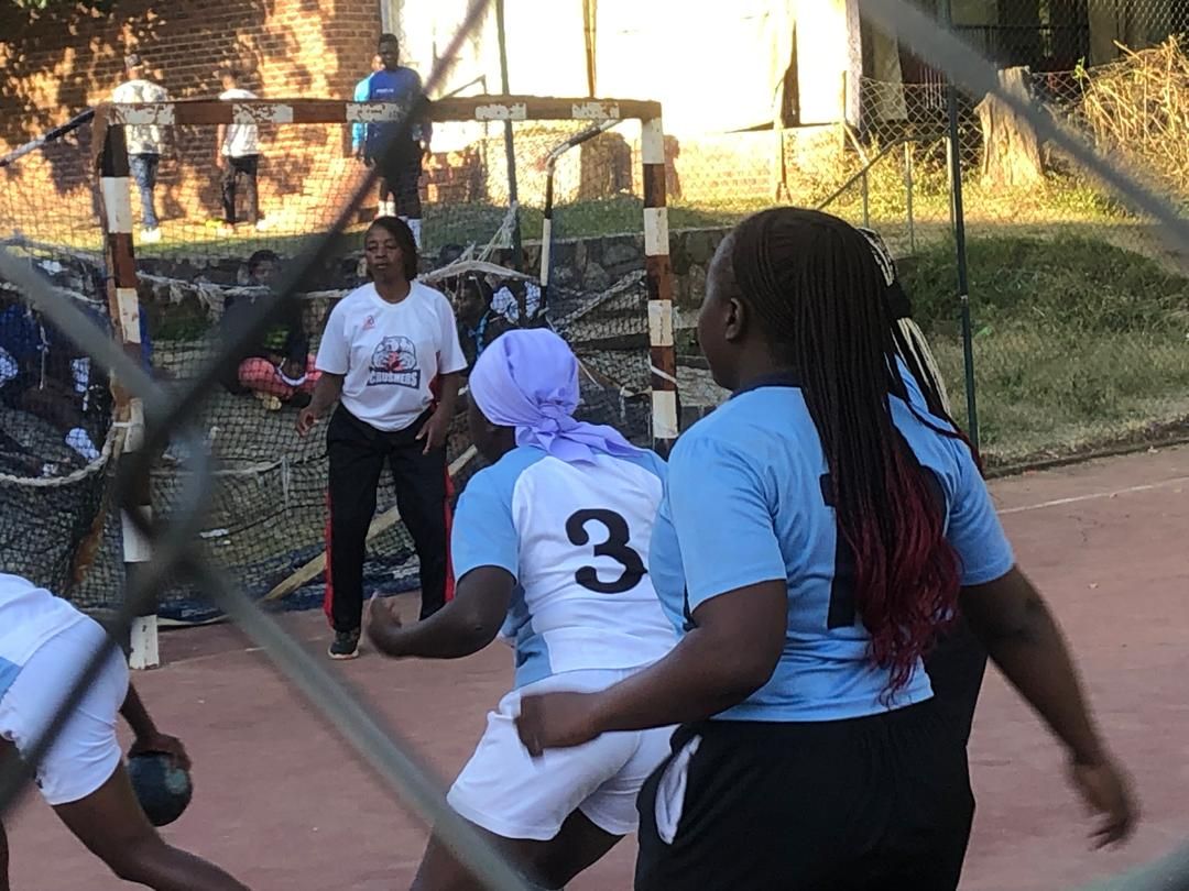 Volleyball action 3